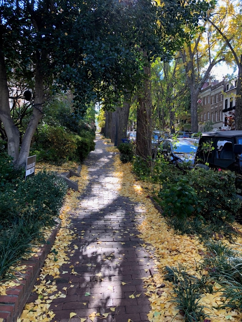 Things that bring joy: Notes on a miracle