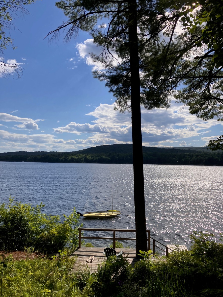 Lake view surrounded by trees and forested hills